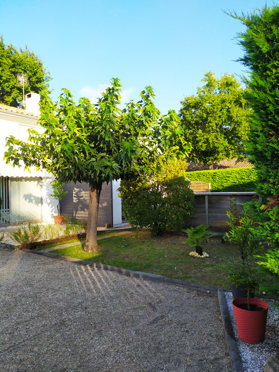 studio-location-la-teste-de-buch-terrasse-
